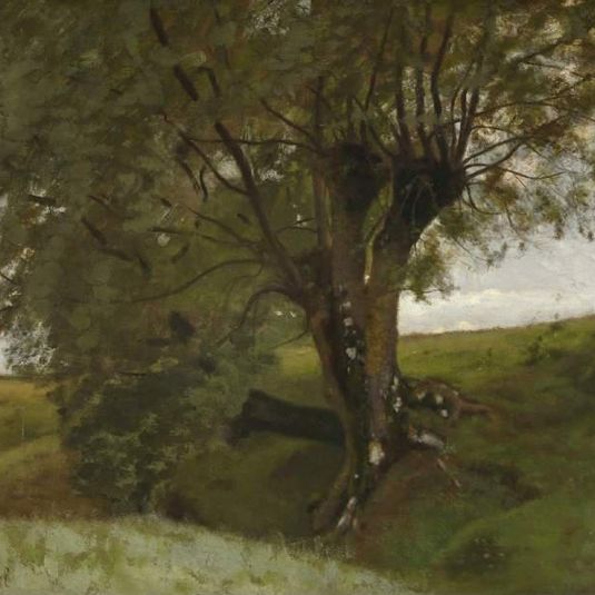 Landscape with an ash tree