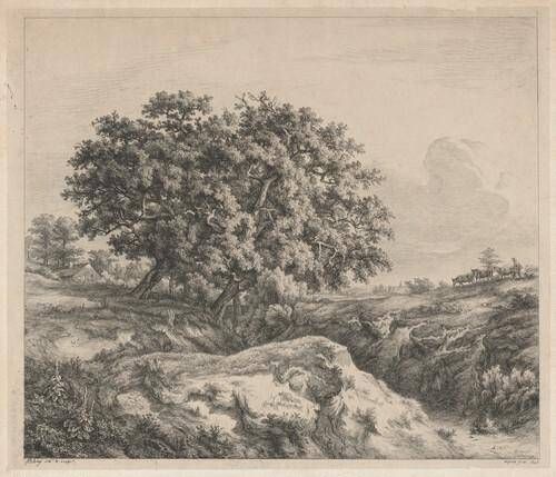 Le chêne au ravin (Oak Tree by a Ravine)