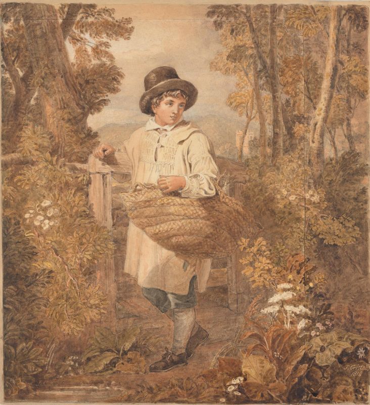Young Woodcutter