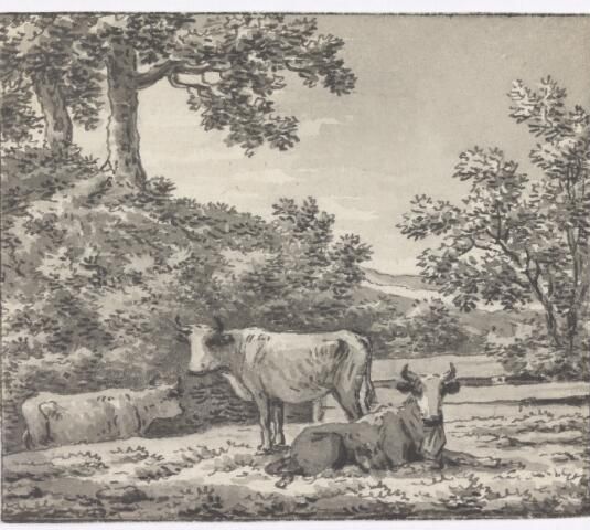 Drie koeien in heuvelachtig landschap
