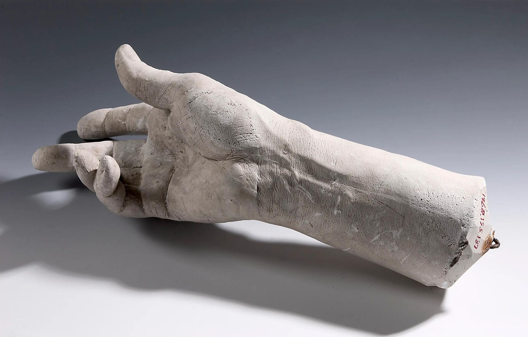 Cast of the Right Hand and Wrist of Hiram Powers