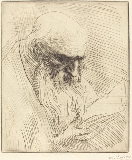 Study of the Head of a Man Reading (Etude de tete d'homme lisant)