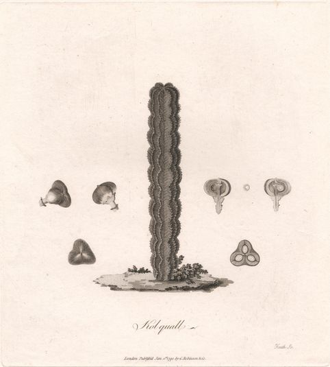 Kolquall 1790
