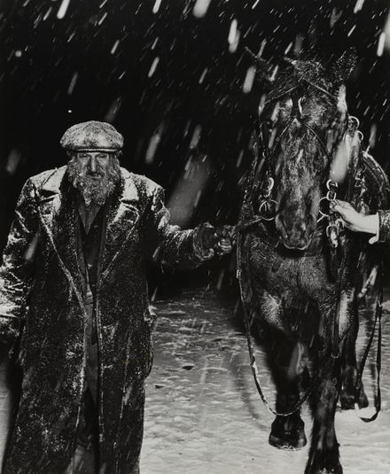 An incident in the snowstorm. Rag peddler Sam Karshnowitz leads a horse along the street in a bitter snowstorm. The horse has been rented for the day to pull his wagon.