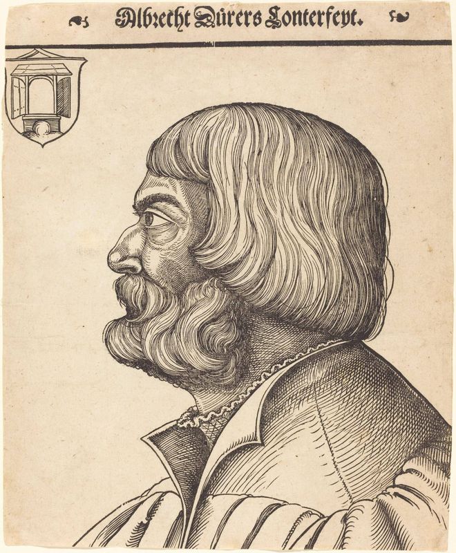 Albrecht Dürer at Age Fifty-Six