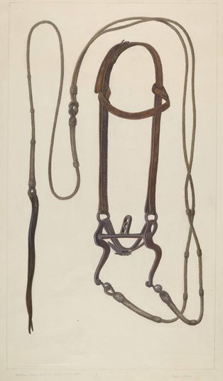 Bridle with Braided Rawhide Reins