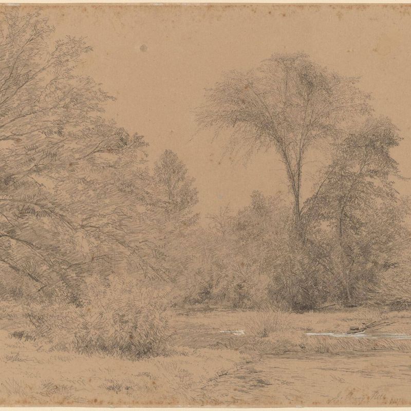 Landscape, Early Spring