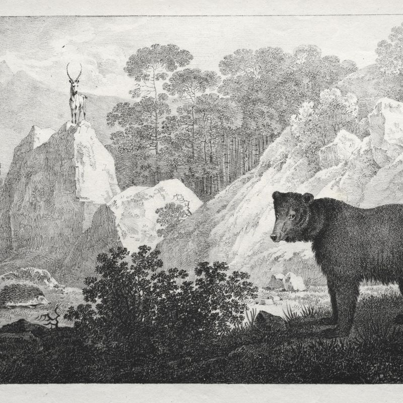 Mountainous Landscape with Bear in the Foreground
