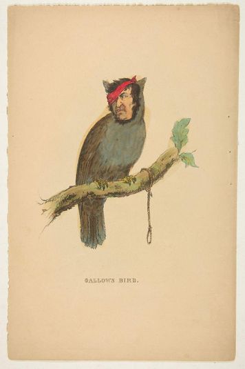 Gallows Bird, from The Comic Natural History of the Human Race