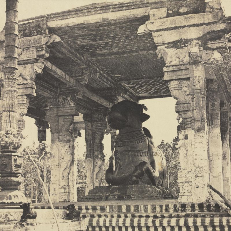 Great Pagoda, Great Bull, Front View, Tanjore, India (Rajarajesvara Temple)