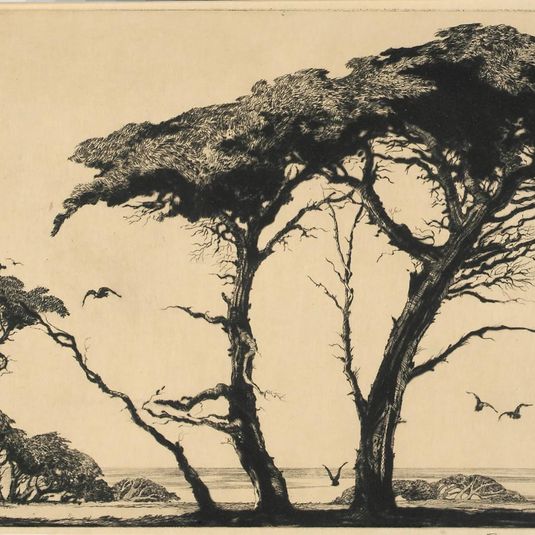 The Pines of Monterey