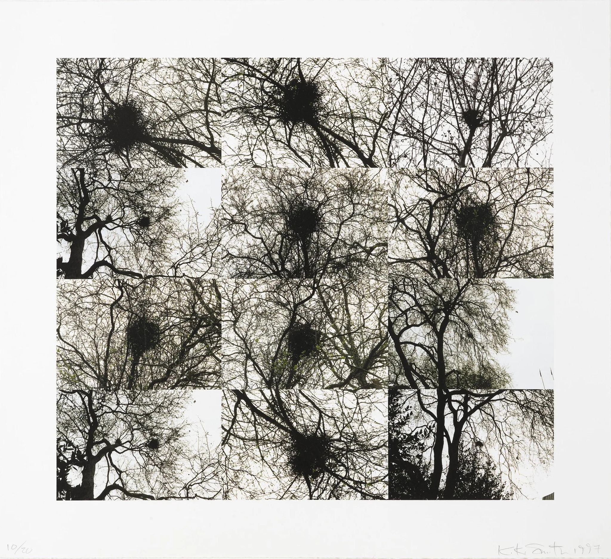Untitled (Nest/Trees)