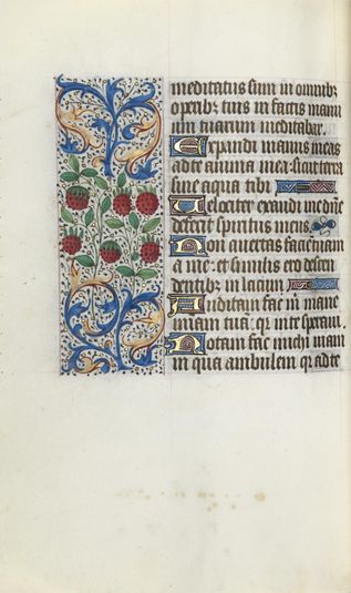 Book of Hours (Use of Rouen): fol. 91v