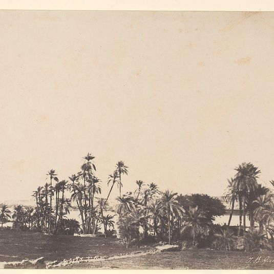 Etude de Palmiers, Bords du Nil, Kalabschi