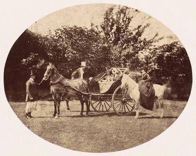Horse-drawn Carriage and Female Rider