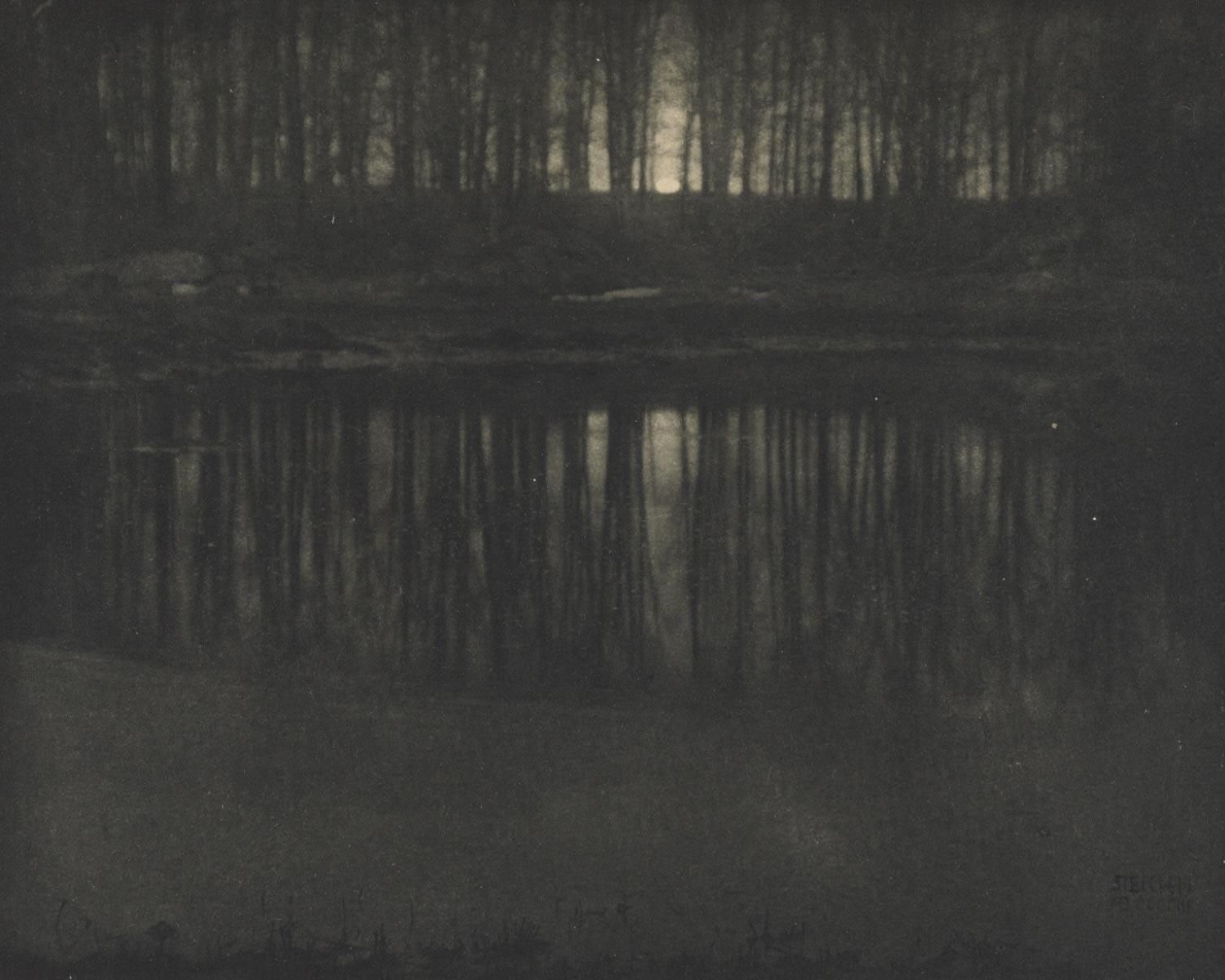 Moonlight: The Pond
