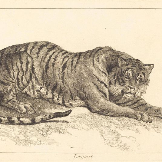 Leopart (Leopard or Tiger)