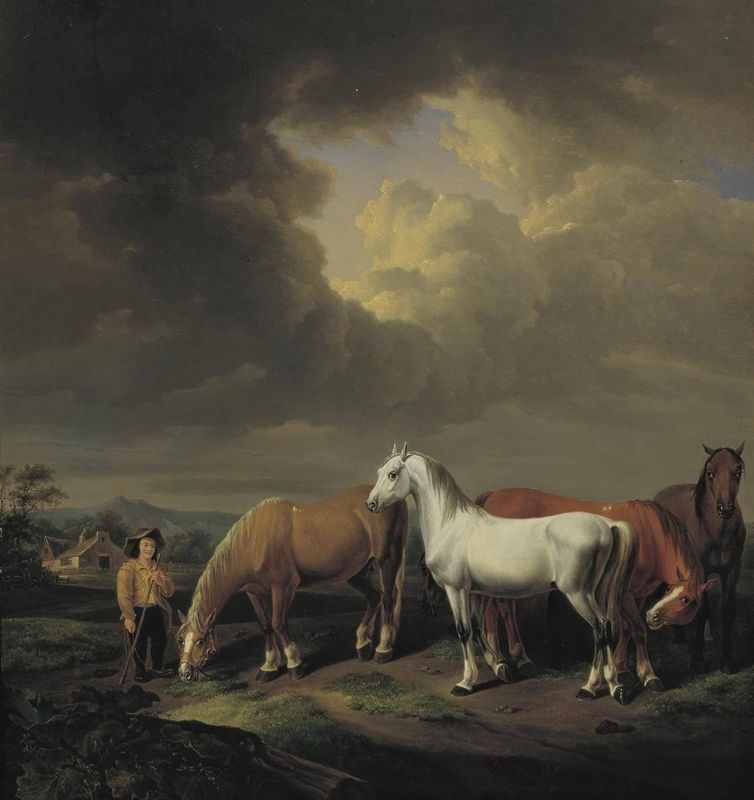 Five Field Horses