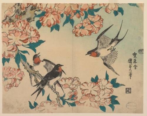 Cherry Blossoms and Three Swallows