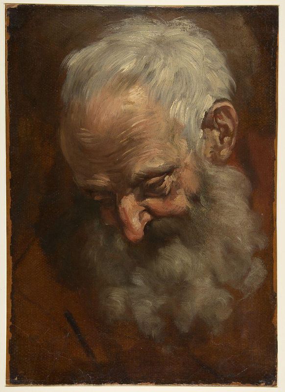 Head of a Bearded Man (Nicodemus)