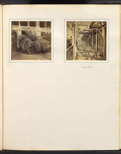 [View of Large Plant with Sign Requesting Viewers Not to Touch; Telescope Gallery]