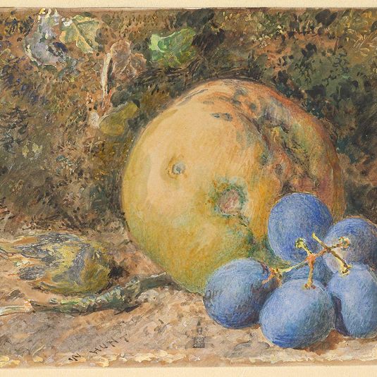 An Apple, Grapes and a Hazelnut on a Mossy Bank