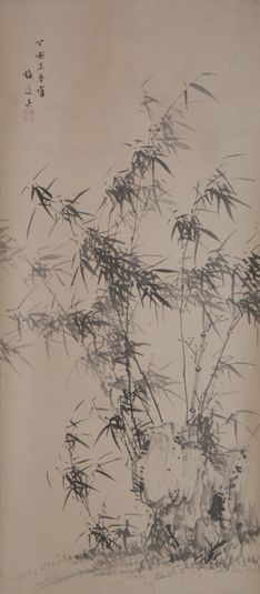Bamboo in the Wind