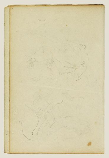 Sketches of head and hind legs of a lion