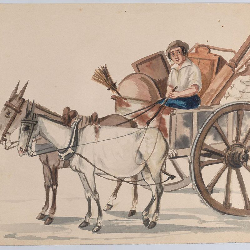A man driving a cart pulled by mules, from a group of drawings depicting Peruvian costume