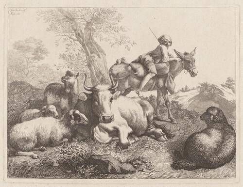 Boy on a Donkey Watching over a Group of Animals