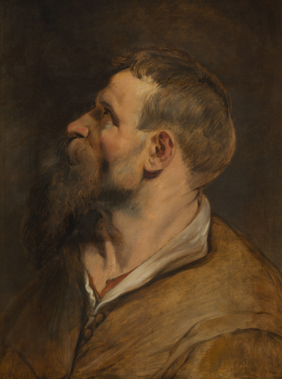 Head Study of a Man in Profile