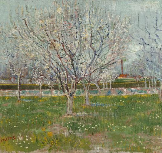 Orchard with Apricot Trees in Blossom, Arles