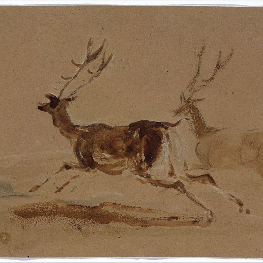 Two Stags Running
