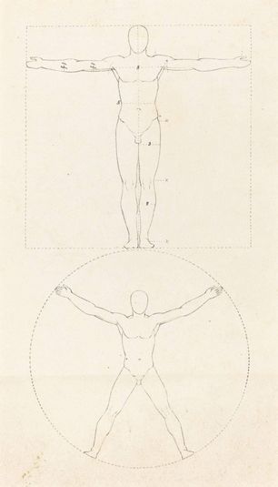 Circle and Square of the Human Figure