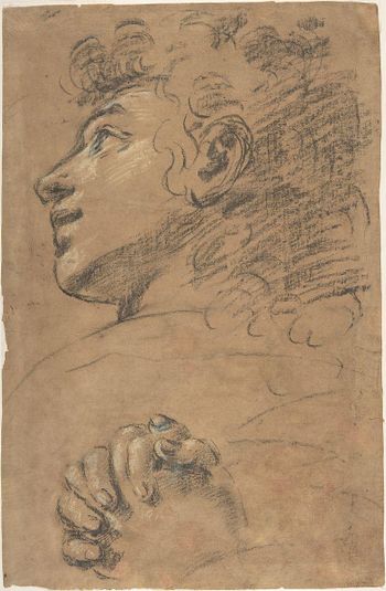 Profile Head of a Youth Looking to Upper Left, and Study of Clasped Hands