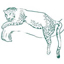 8. Leopard, Animal World