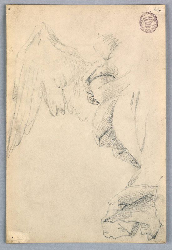Sketch with Wings and Drapery