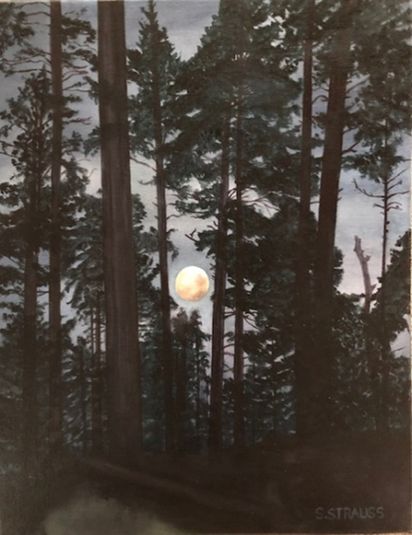 Moonlit Pines - Shasta Strauss - EHAG