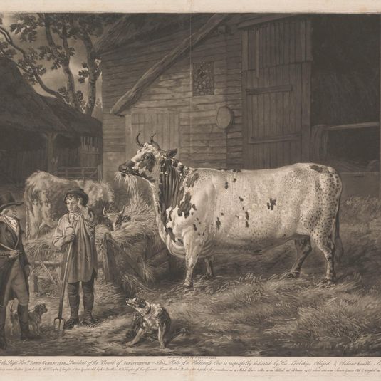[No. 5] Prints / of the / Improved British Cattle: Holderness Cow / Taken from His Majesty's Stock at Windsor