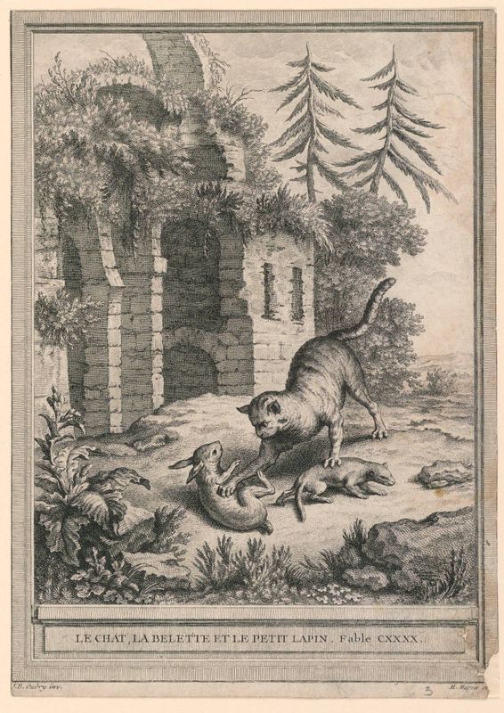 Illustration for La Fontain's Fable "The Cat, the Weasel and the Rabbit"