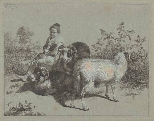 Seated Shepherdess with Three Rams