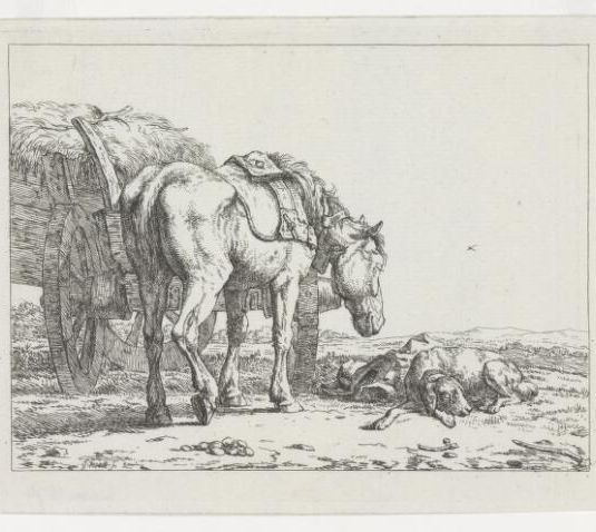 Paard staande aan een hooiwagen bij een liggende hond