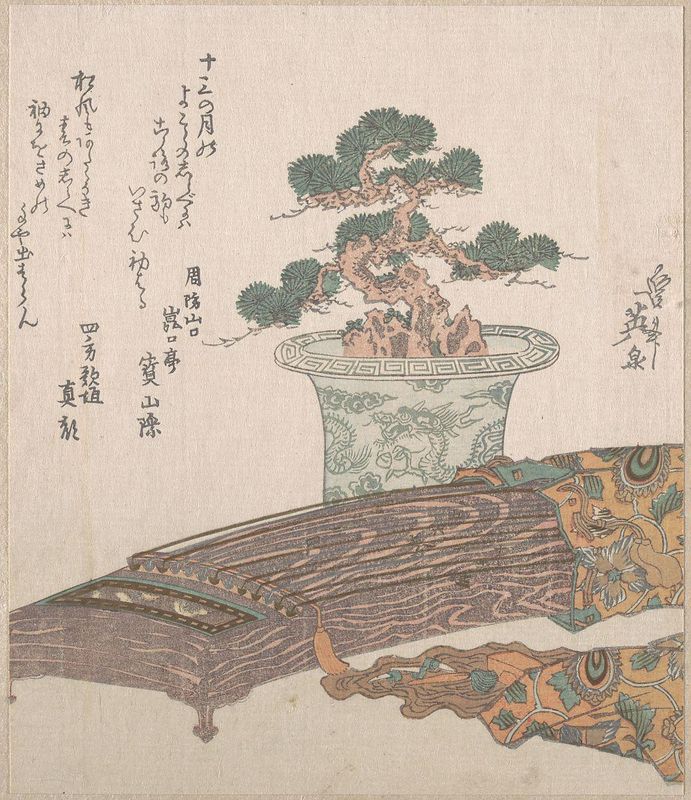 Potted Pine Tree and Koto (Japanese Harp)