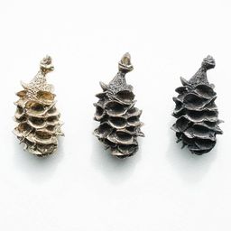 Banksia Seeds (3 States)and The 2020 Ingram Prize Exhibition
