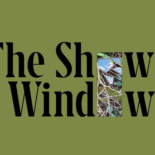 The Show Windows: Archive