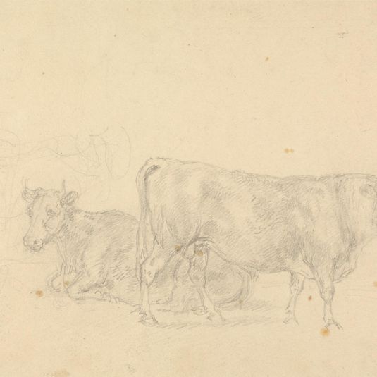 Study of cattle, bull in foreground facing right