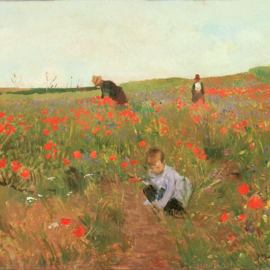Poppies in a Field