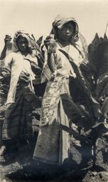 Women at the plantation