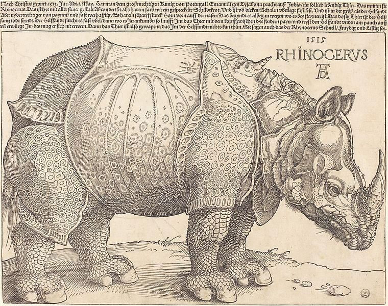 Rinoceront de Dürer