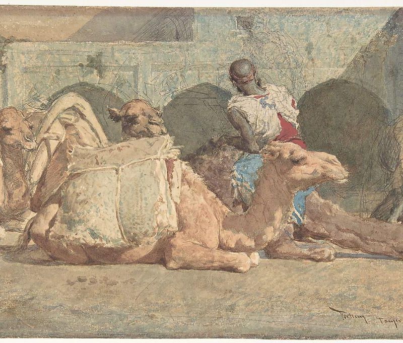 Camels Reposing, Tangiers